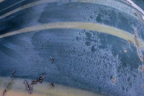 Leaf macrophotography Stock Photos