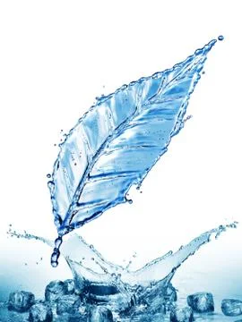 Leaf made of water splash Stock Illustration