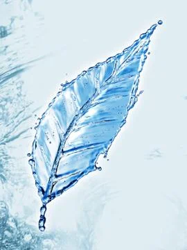 Leaf made of water splash Stockillustratie