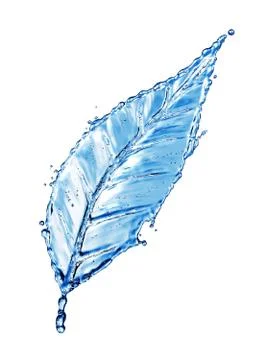 Leaf made of water splash Stockillustratie