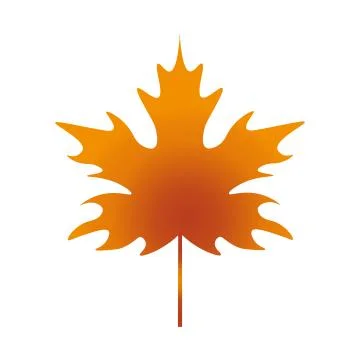 Leaf Maple illustration Illustrazione stock