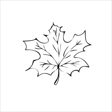 Leaf maple tree vector art illustration icon Stock Illustration