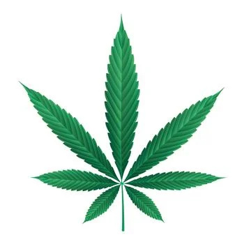 Leaf of Marijuana Stock Illustration