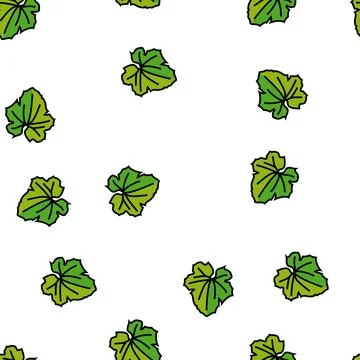 Leaf melon cantaloupe vector seamless pattern Stock Illustration