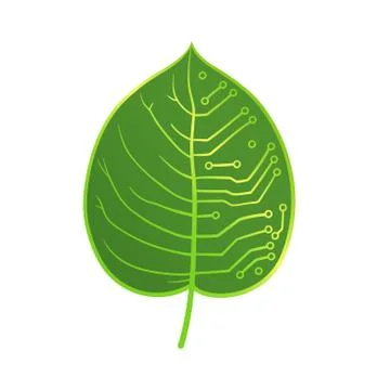 Leaf microcircuit イラスト素材