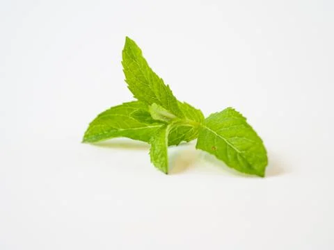 Leaf of mint isolated on white background. Foto stock