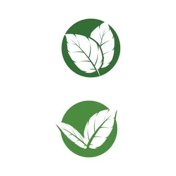 Leaf Mint Logo Template vector symbol Stock Illustration
