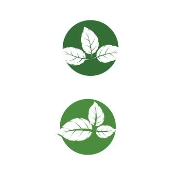 Leaf Mint Logo Template vector symbol Stock Illustration