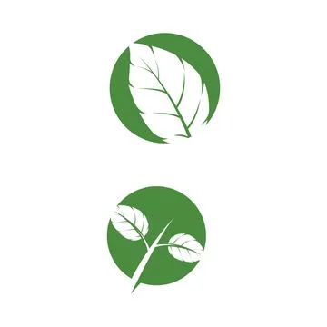 Leaf Mint Logo Template vector symbol Illustrazione stock