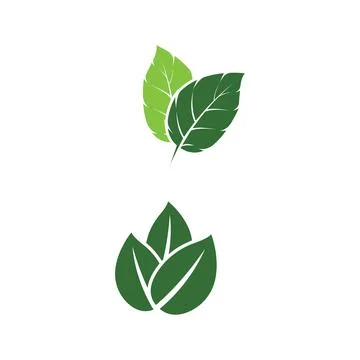 Leaf Mint Logo Template vector symbol Stock Illustration