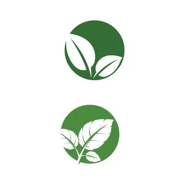 Leaf Mint Logo Template vector symbol Stock Illustration