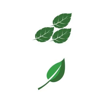 Leaf Mint Logo Template vector symbol Stock Illustration