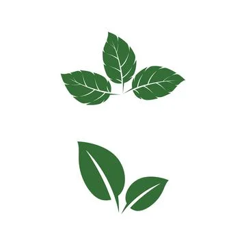Leaf Mint Logo Template vector symbol Illustrazione stock