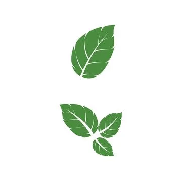 Leaf Mint Logo Template vector symbol Illustrazione stock