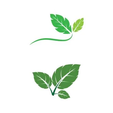 Leaf Mint Logo Template vector symbol Stock Illustration