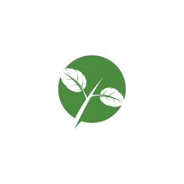 Leaf Mint Logo Template vector symbol Stock Illustration