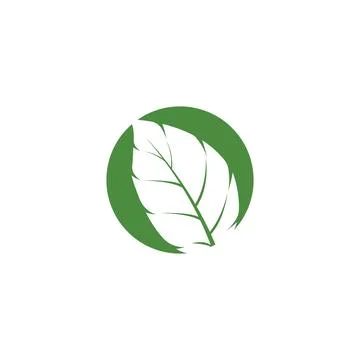 Leaf Mint Logo Template vector symbol Stock Illustration