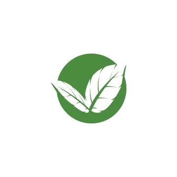 Leaf Mint Logo Template vector symbol Stock Illustration