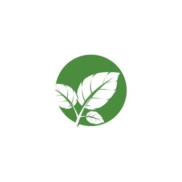 Leaf Mint Logo Template vector symbol Stock Illustration