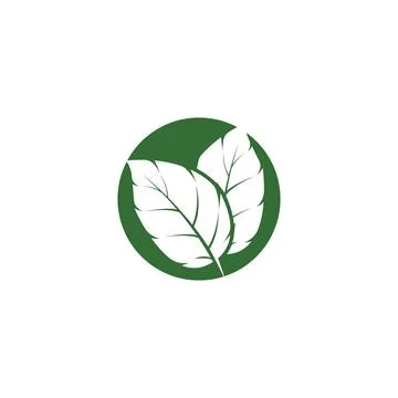 Leaf Mint Logo Template vector symbol Illustrazione stock