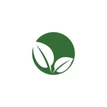 Leaf Mint Logo Template vector symbol Stock Illustration
