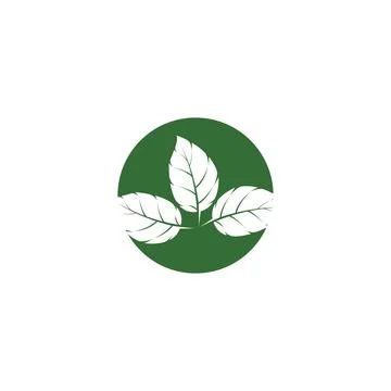 Leaf Mint Logo Template vector symbol Stock Illustration