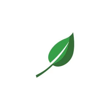 Leaf Mint Logo Template vector symbol Illustrazione stock