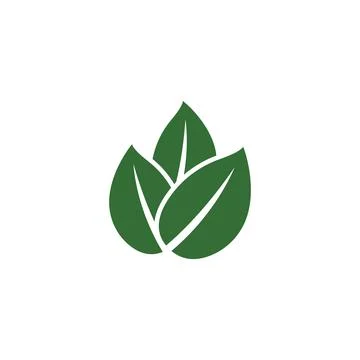 Leaf Mint Logo Template vector symbol Stock Illustration