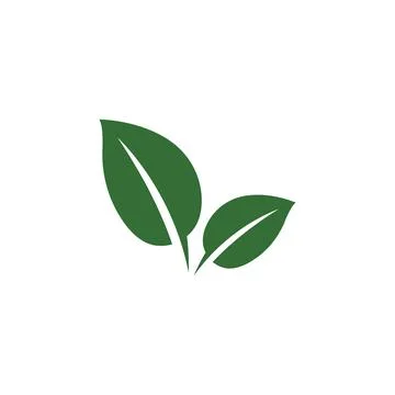 Leaf Mint Logo Template vector symbol Stock Illustration