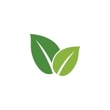 Leaf Mint Logo Template vector symbol Stock Illustration