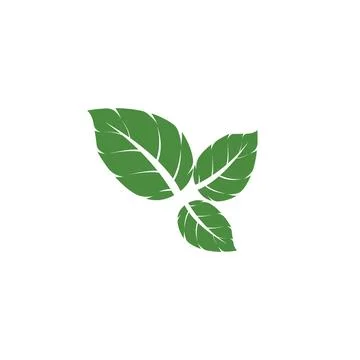 Leaf Mint Logo Template vector symbol Stock Illustration