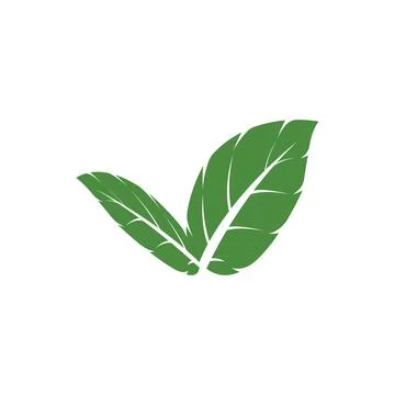 Leaf Mint Logo Template vector symbol Stock Illustration