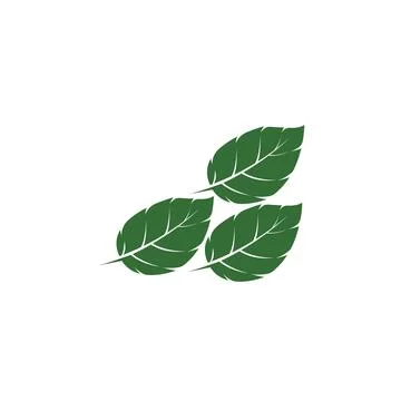 Leaf Mint Logo Template vector symbol Illustrazione stock