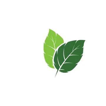Leaf Mint Logo Template vector symbol Stock Illustration