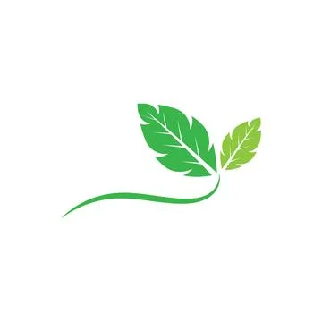 Leaf Mint Logo Template vector symbol Stock Illustration