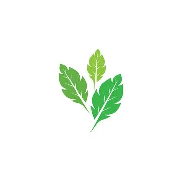 Leaf Mint Logo Template vector symbol Stock Illustration