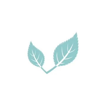 Leaf Mint Logo Template vector symbol Stock Illustration