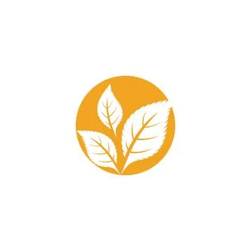 Leaf Mint Logo Template vector symbol Stock Illustration