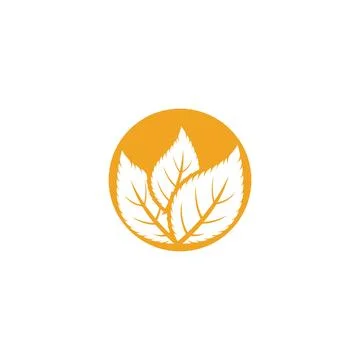 Leaf Mint Logo Template vector symbol Stock Illustration