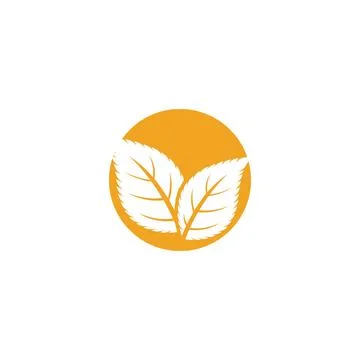 Leaf Mint Logo Template vector symbol Stock Illustration