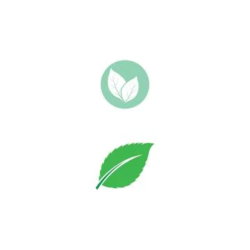 Leaf Mint Logo Template vector symbol Illustrazione stock