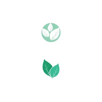Leaf Mint Logo Template vector symbol Stock Illustration