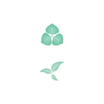Leaf Mint Logo Template vector symbol Illustrazione stock