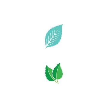 Leaf Mint Logo Template vector symbol Illustrazione stock
