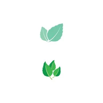 Leaf Mint Logo Template vector symbol Stock Illustration