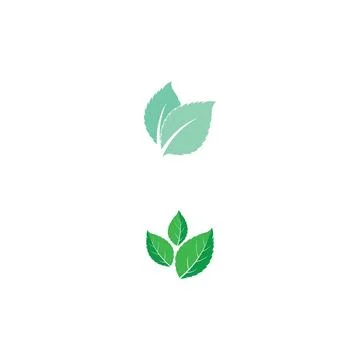 Leaf Mint Logo Template vector symbol Stock Illustration
