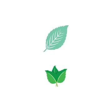 Leaf Mint Logo Template vector symbol Stock Illustration