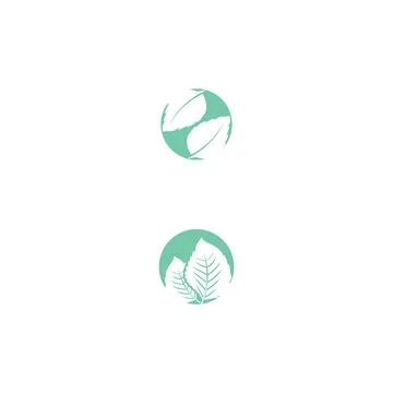 Leaf Mint Logo Template vector symbol Illustrazione stock