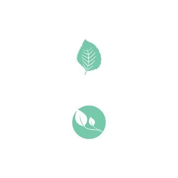 Leaf Mint Logo Template vector symbol Stock Illustration