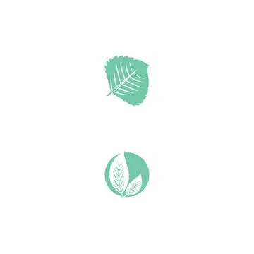 Leaf Mint Logo Template vector symbol Illustrazione stock